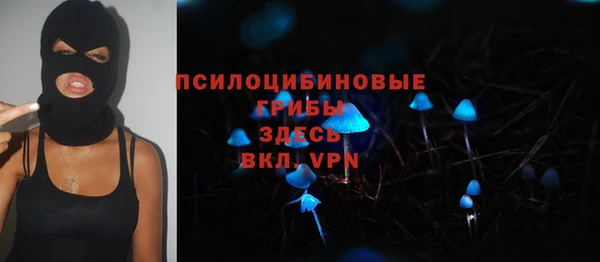 PSILOCYBIN Бородино