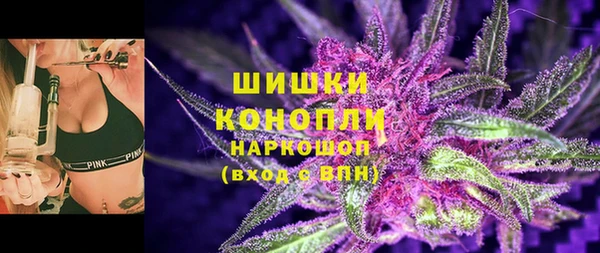 PSILOCYBIN Бородино
